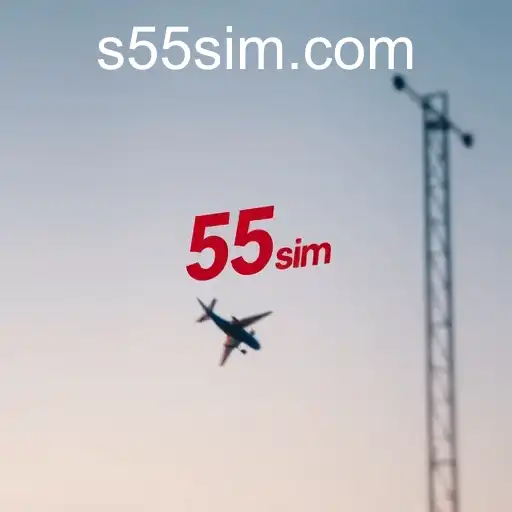 Exploring the Dynamics of Exclusive Offers with 55sim